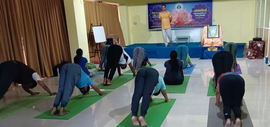 Daily Yoga Classes – Online & Offline